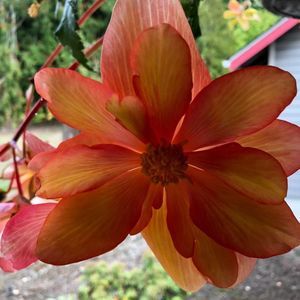 Meet your Posher, Jodi